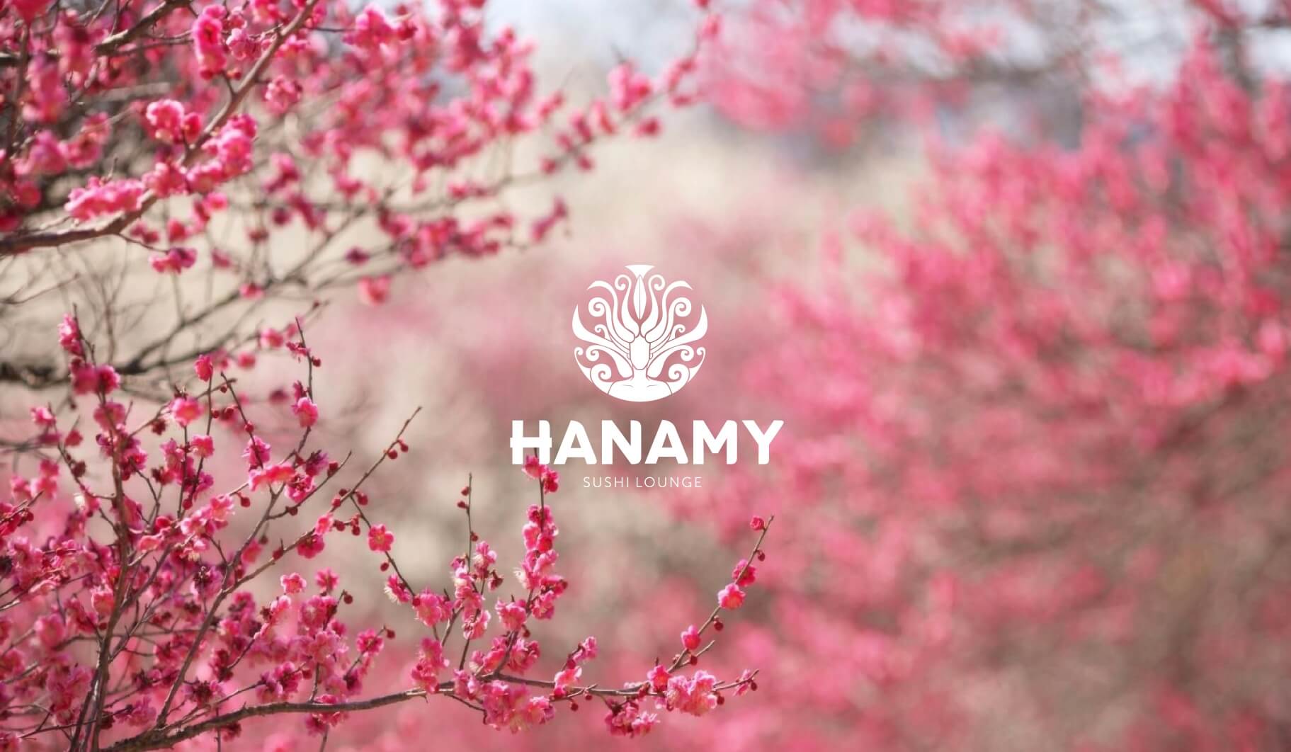 Banner Hanamy